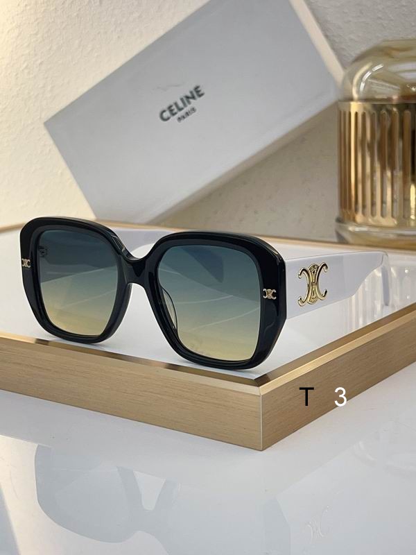 Celine Sunglasses ID:20240804-89